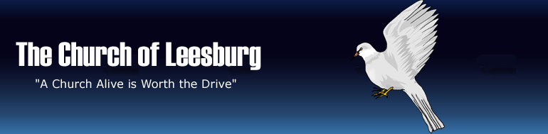 banner logo